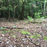 穴熊に出会う