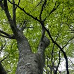 等検境に登る。今日も完ソロ