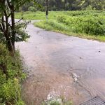 朝から豪雨となる